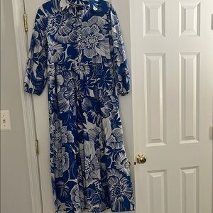 Rachel Zoe Blue and White Bishop Sleeve Maxi Dress